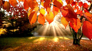 Ayurveda and Sunlight